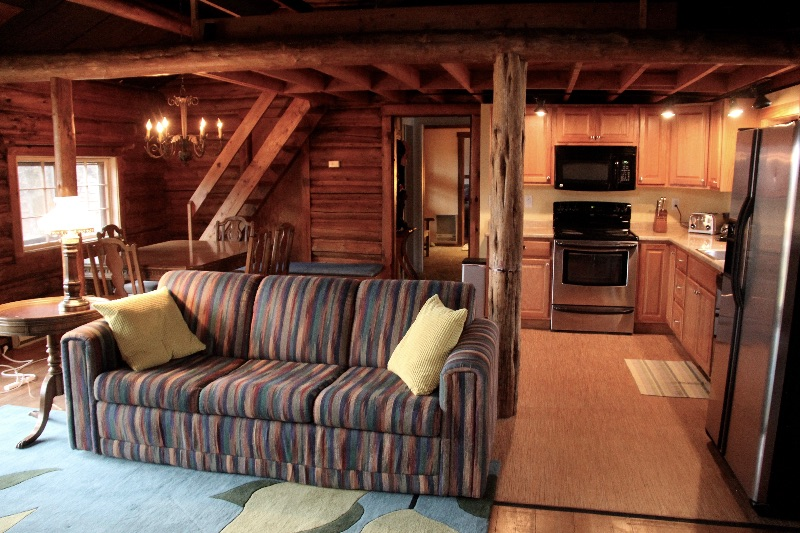 Cozy Log Cabin in 1/2 acre - Photo 4