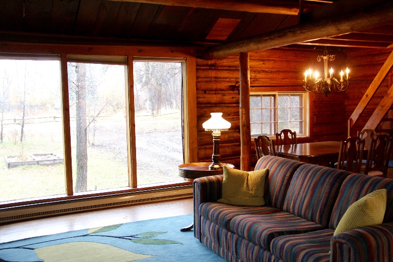 Cozy Log Cabin in 1/2 acre - Photo 7
