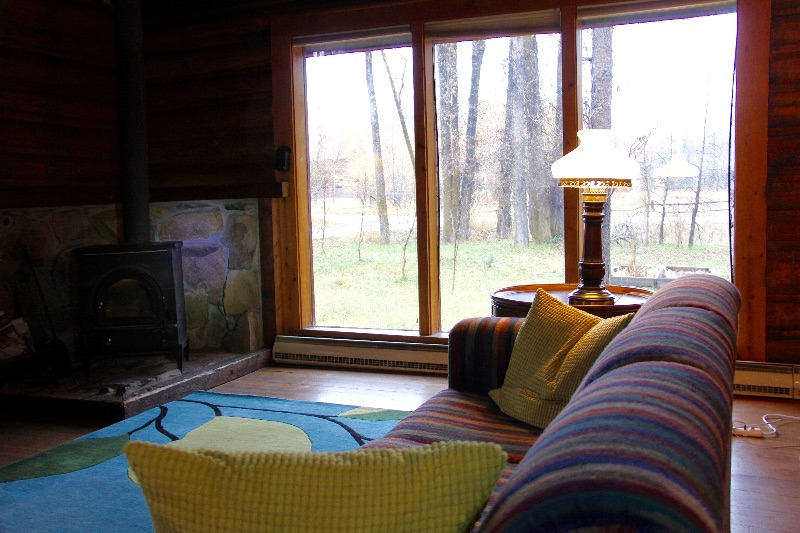 Cozy Log Cabin in 1/2 acre - Photo 8