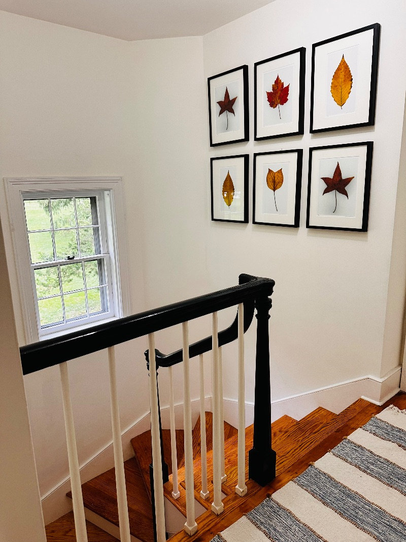 The Goshen Guest House - Photo 4