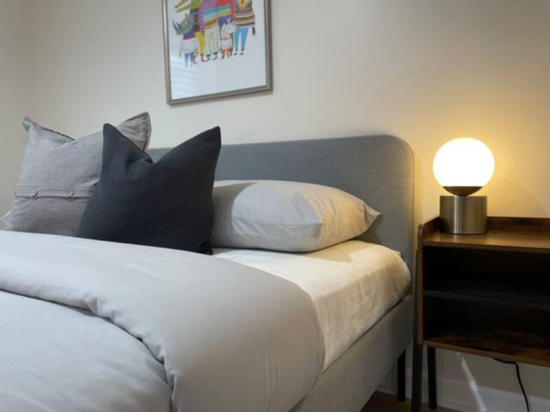 Cozy Stylish 3 bedroom 1 bath near hospital LLRR/NYC - Photo 12