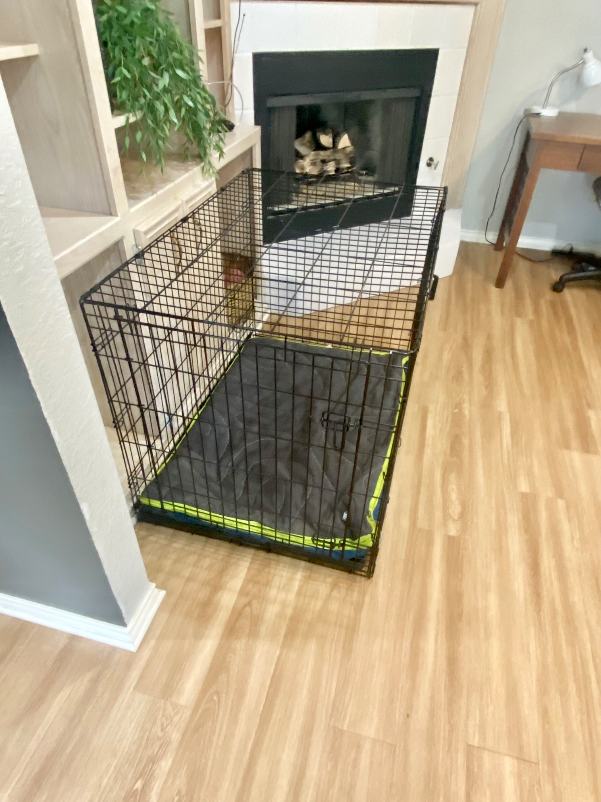 Quiet street / 3/2/2 / TTU/LCU Stay / Pet Friendly / Yard / WFH - Photo 10