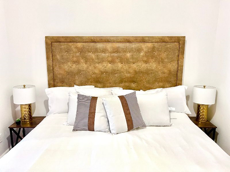 Newly Renovated Apt Near St Joseph's Hospital /... - Photo 11