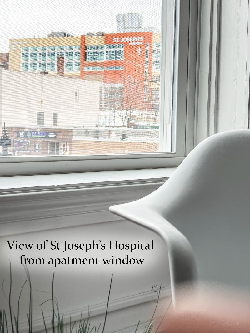 Newly Renovated Apt Near St Joseph's Hospital /... - Photo 9