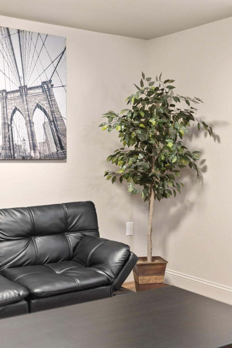 Well maintained, Freshly Remodeled, Cleand, and Centrally located Room for Rent - Photo 3