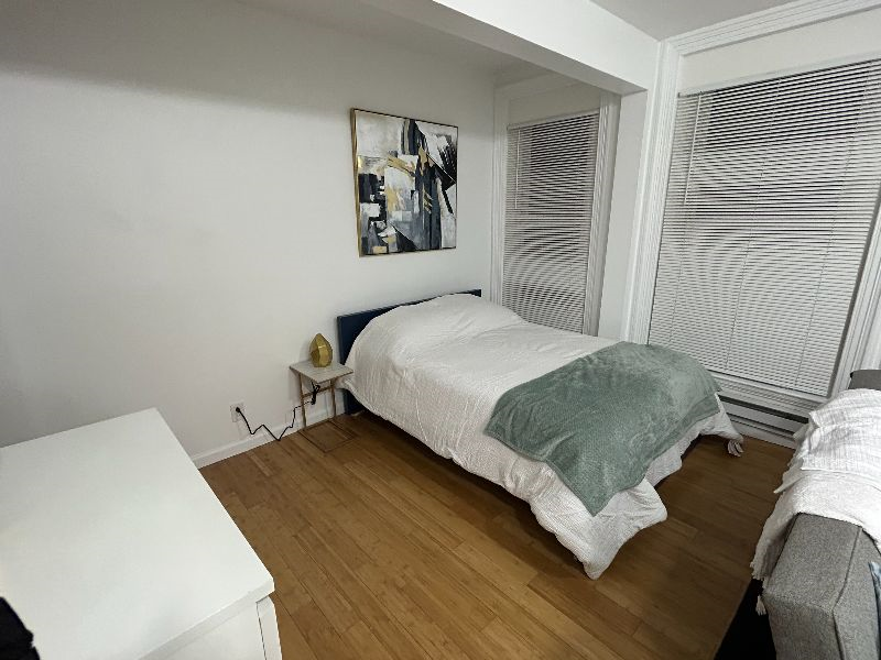 Modern and Chic Studio Apartment in Binghamton, NY - Photo 6