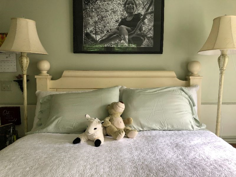 Bird Sanctuary Bedroom