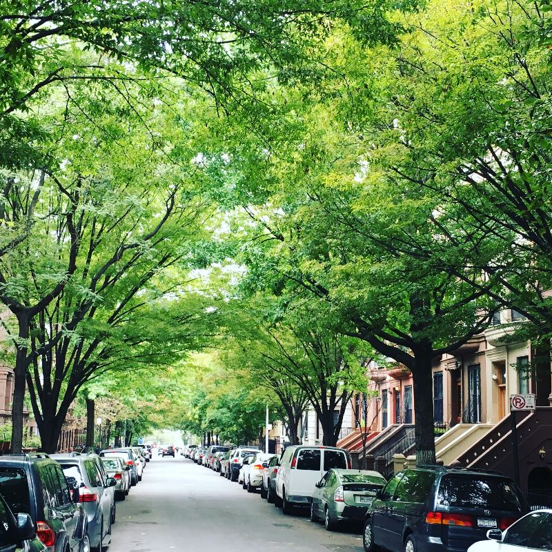 BEAUTIFUL TOWN HOUSE ON TREE LINED STREET IN HARLEM - Photo 4