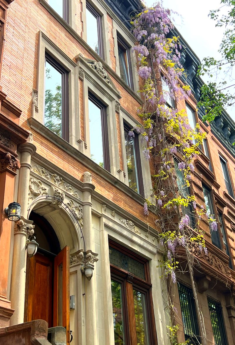 BEAUTIFUL TOWN HOUSE ON TREE LINED STREET IN HARLEM - Photo 2