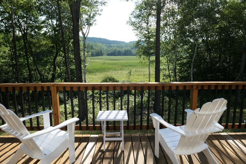 Weathersfield/Springfield, VT Spacious Home with a View - Photo 2