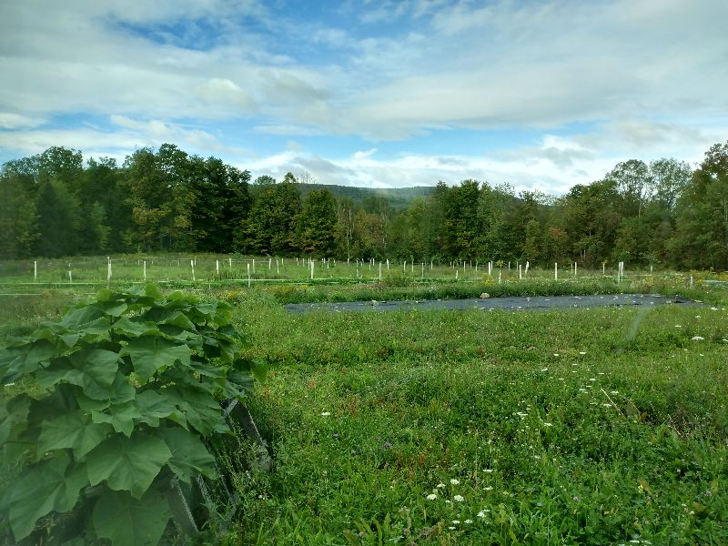 Cozy Studio Near Ithaca - Photo 2