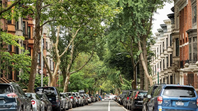 1BR Queen Beauty in Park Slope - Quiet Sleep, Close to Park, Lots of Light, Transit Score (100), Wal - Photo 10