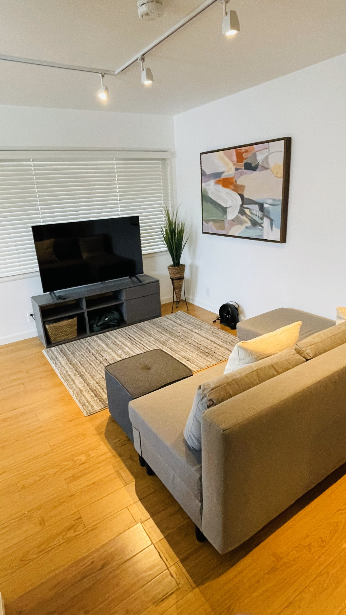 Furnished, Remodeled 1BR 1BA near Rose Garden, The Alameda, SJ Midtown - Photo 3