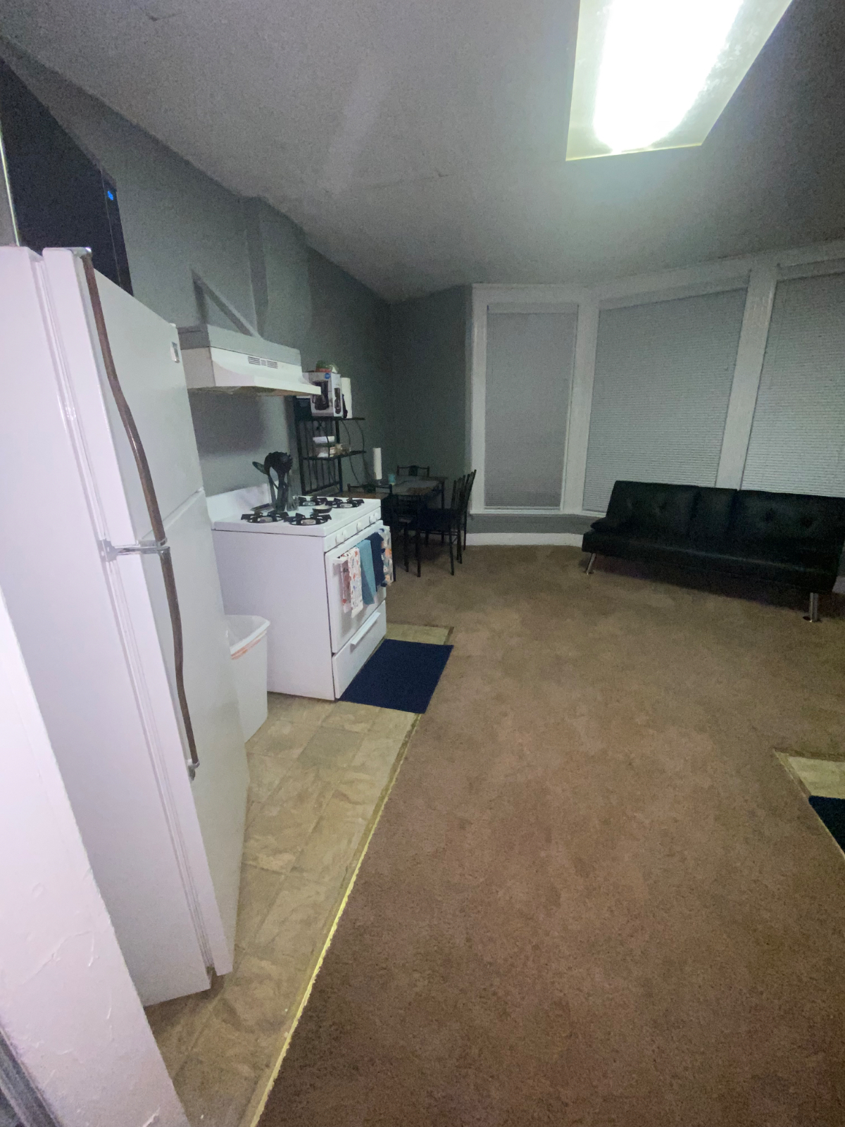 1 Bedroom Apartment Business district Johnson City close to UHS, Lourdes, BU Nursing and Pharmacy Sc - Photo 9