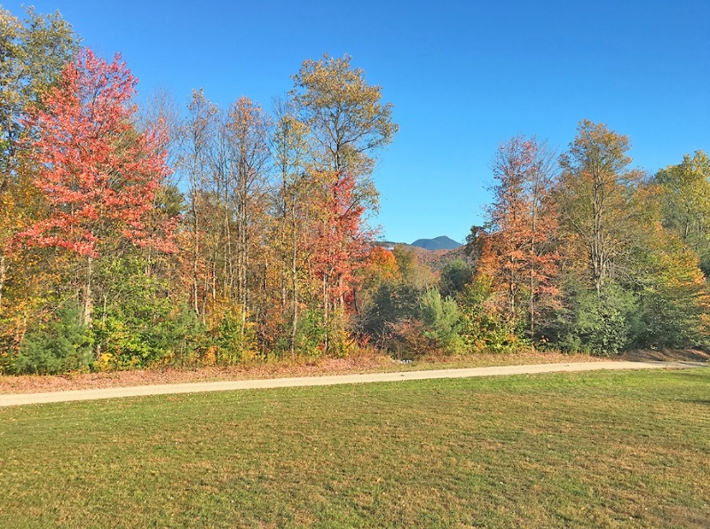 Green Mountain Meadow West - Photo 8