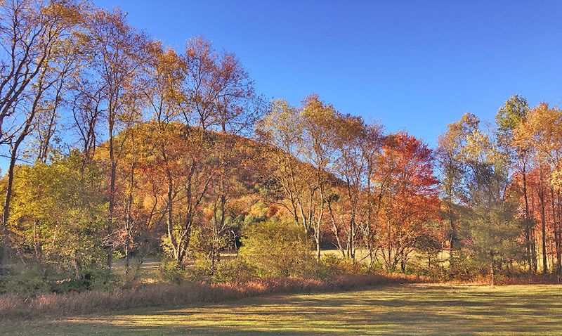 Green Mountain Meadow West - Photo 9