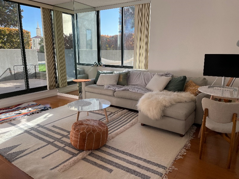 Luxury Furniture 1BD with Patio + Amenities - Photo 1