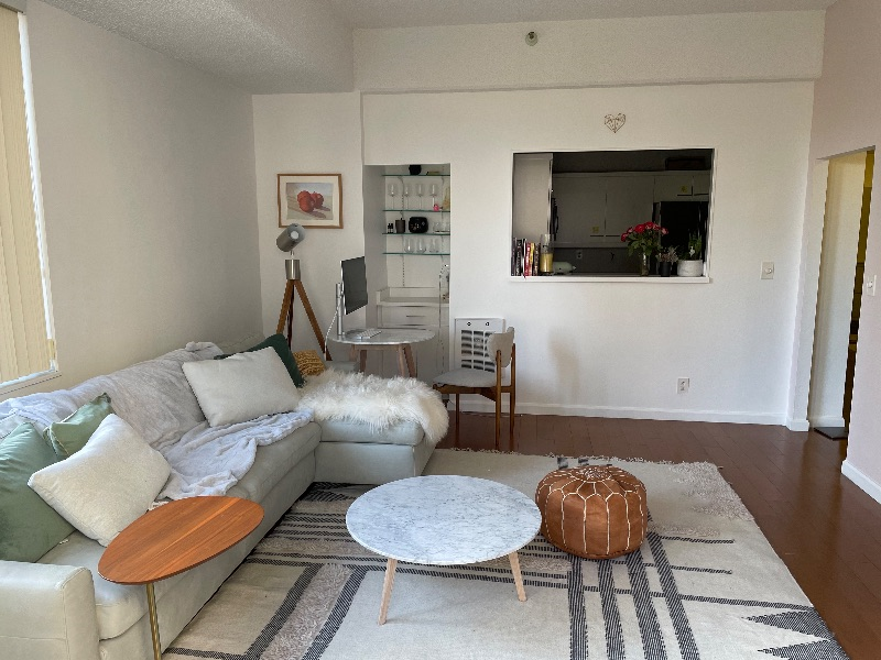 Luxury Furniture 1BD with Patio + Amenities - Photo 3