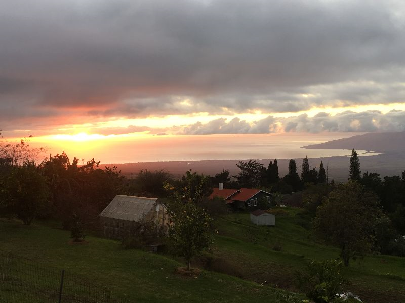 Kula studio bicoastal views