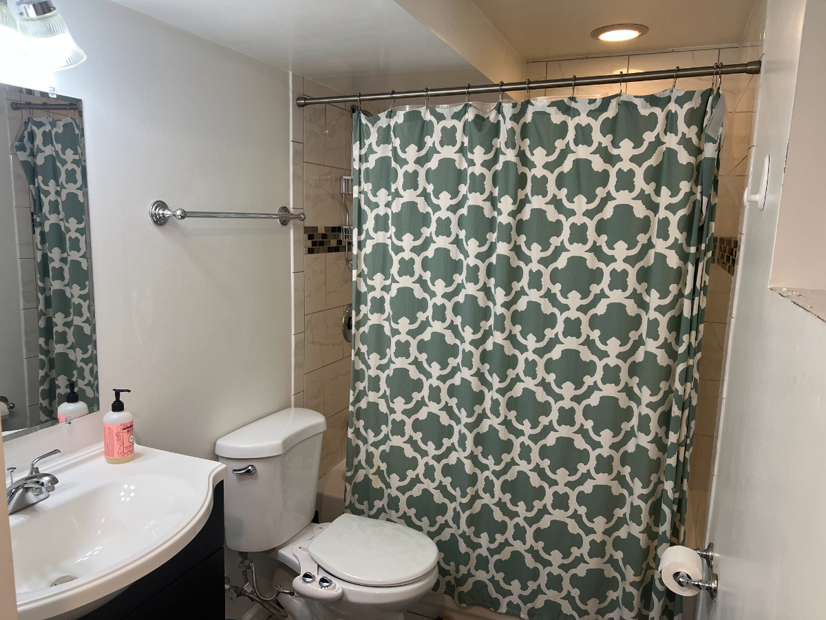 Gorgeous 1 Bedroom walking distance to Metro - Photo 11