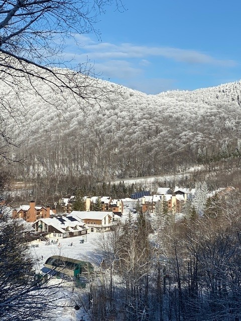 TRUE SKI IN SKI OUT! 1-BEROOM CONDOMINIUM PICO MOUNTAIN KILLINGTON VERMONT - Photo 8