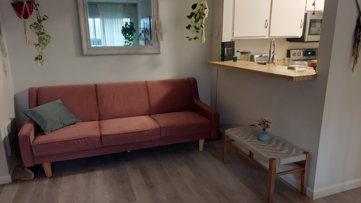 Central spacious large studio/almost junior 1 bedroom in Mission Valley, Pet Friendly - Photo 6