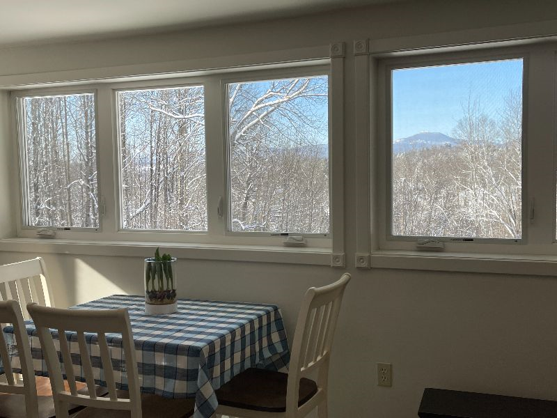 Apartment with a view. Newly renovated, 1 Bedroom Apartment  in Waterbury Center - Photo 5