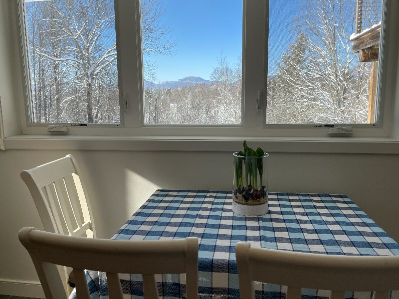 Apartment with a view. Newly renovated, 1 Bedroom Apartment  in Waterbury Center - Photo 3