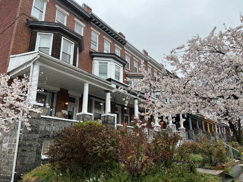 Charles Village Third Floor Charming Studio with a Separate Kitchen