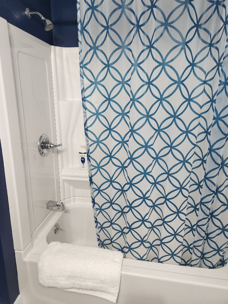 Large renovated bedroom suite close to everything - Photo 4