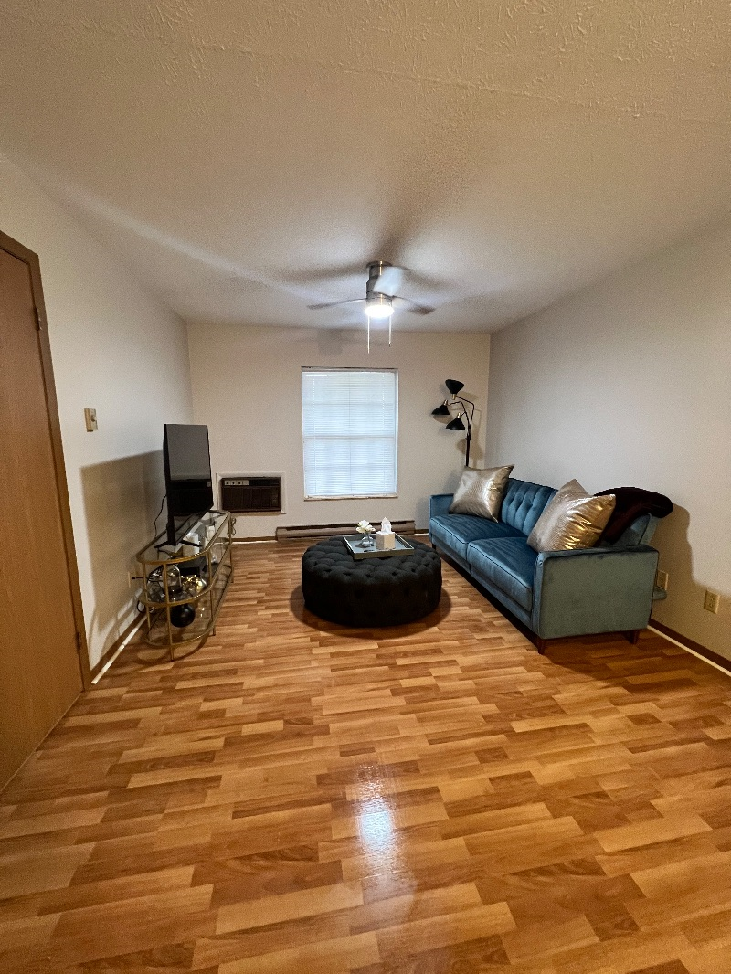GV's Apartment 5 - Photo 4
