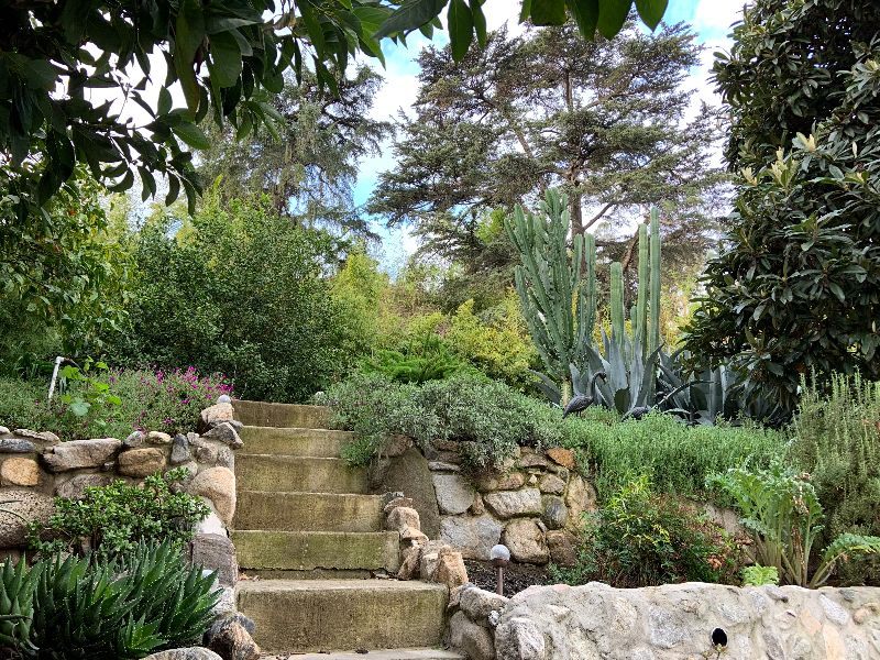 Furnished Retreat in Silver Lake (Utilities Included) - Photo 1