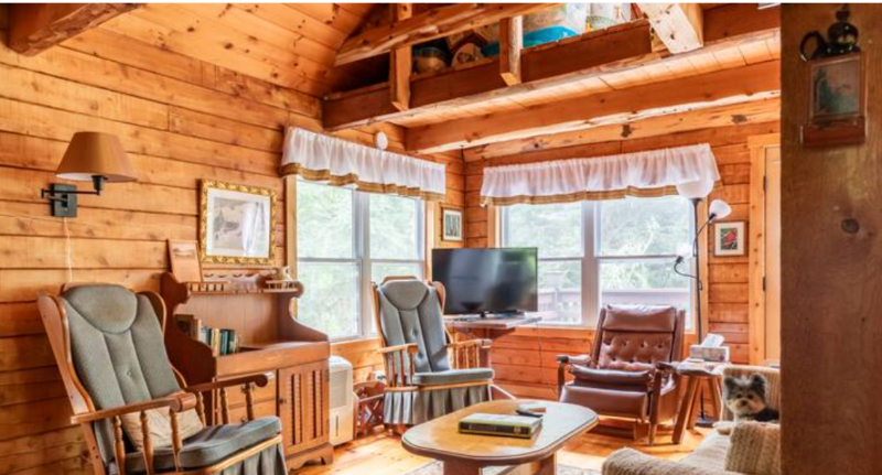 Cabin in the Woods - Photo 2