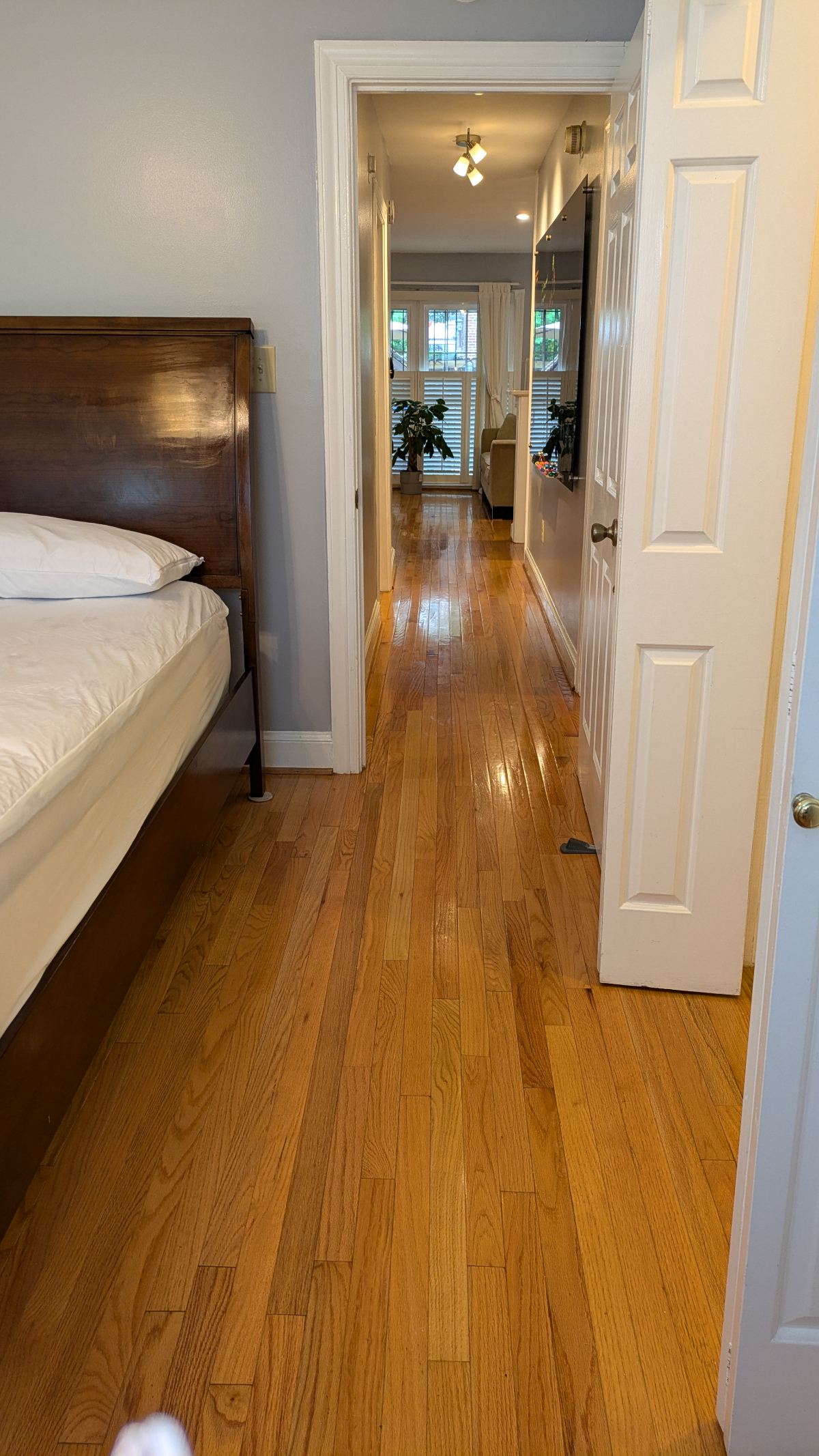 Sunny two bedroom on Capitol Hill in Wash DC - Photo 10