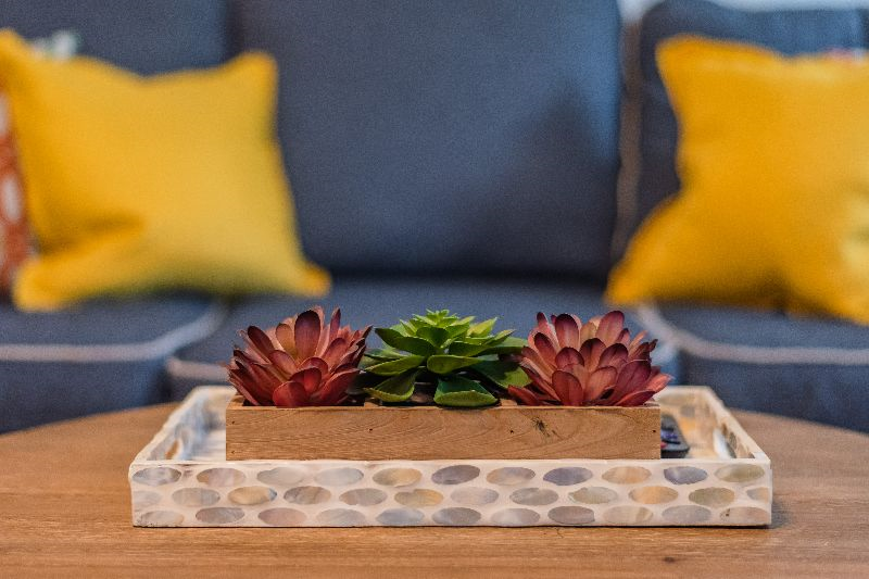 Beautiful Apartment at the Botanical Garden - Photo 6