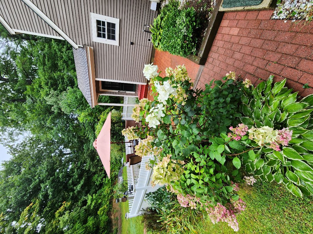 Great Home - Photo 6