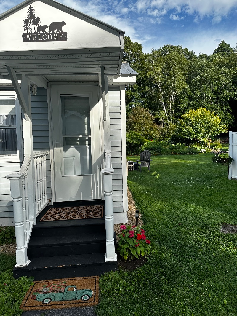 Adirondack Cozy Cottage - Photo 5