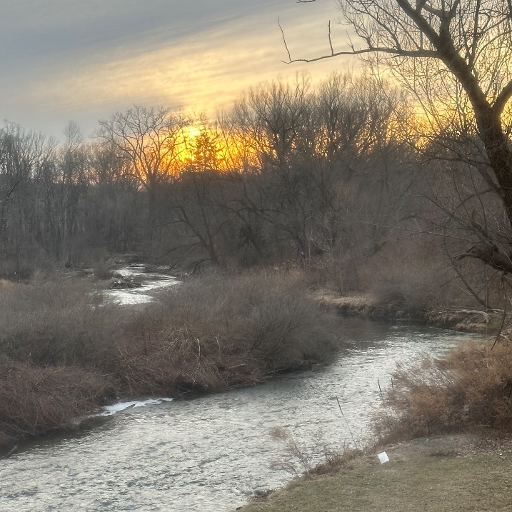 Zen Riparian Retreat in the City - Photo 12
