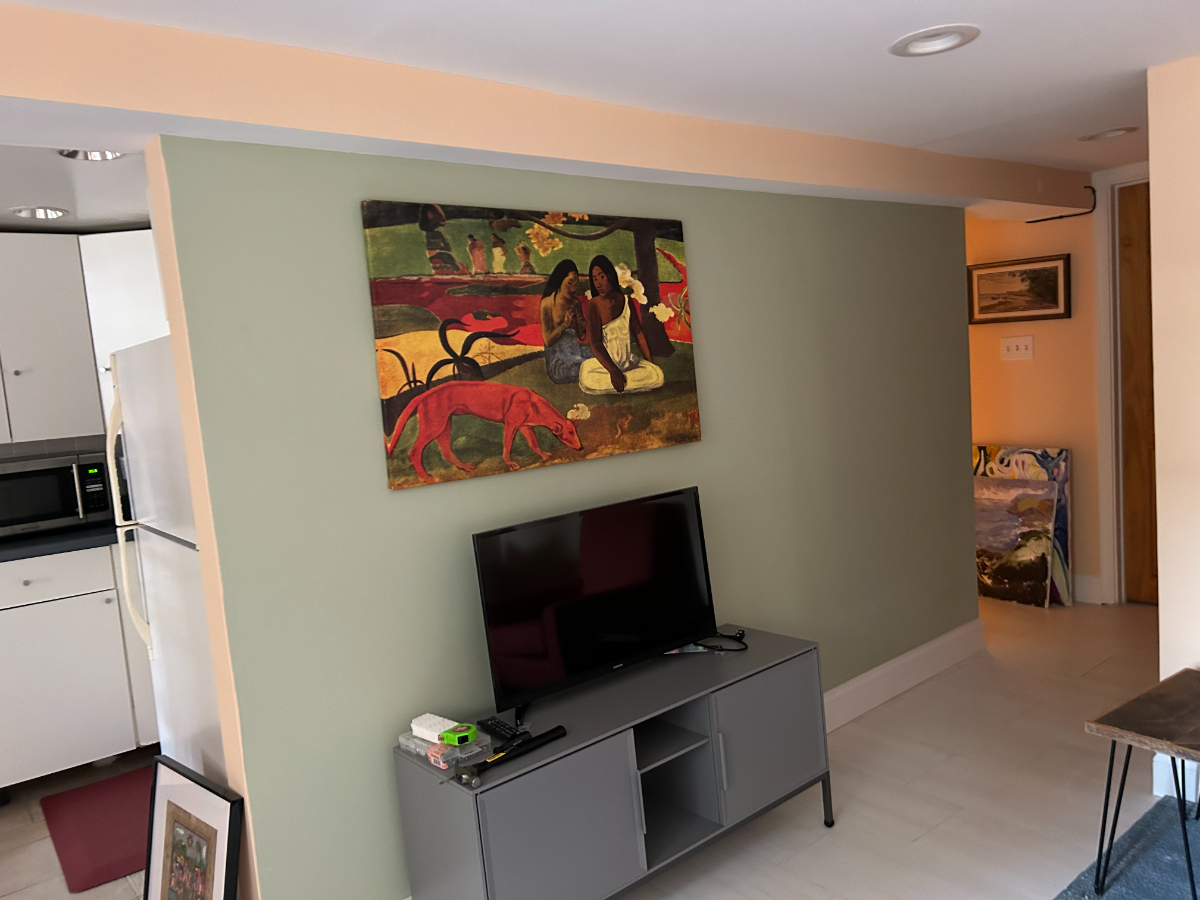 Large Basement Apartment in Historic Mt. Pleasant - Photo 1