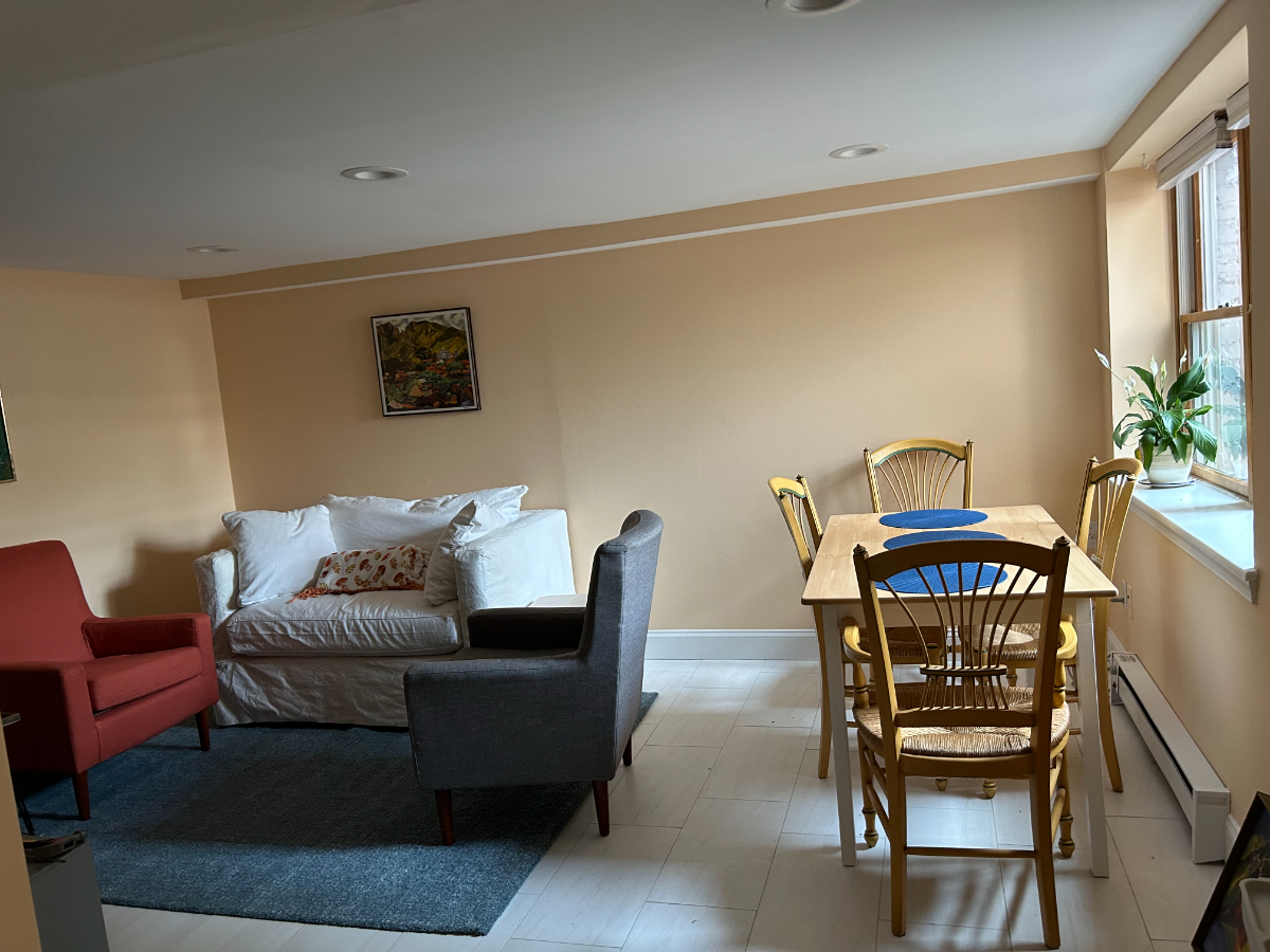 Large Basement Apartment in Historic Mt. Pleasant - Photo 4