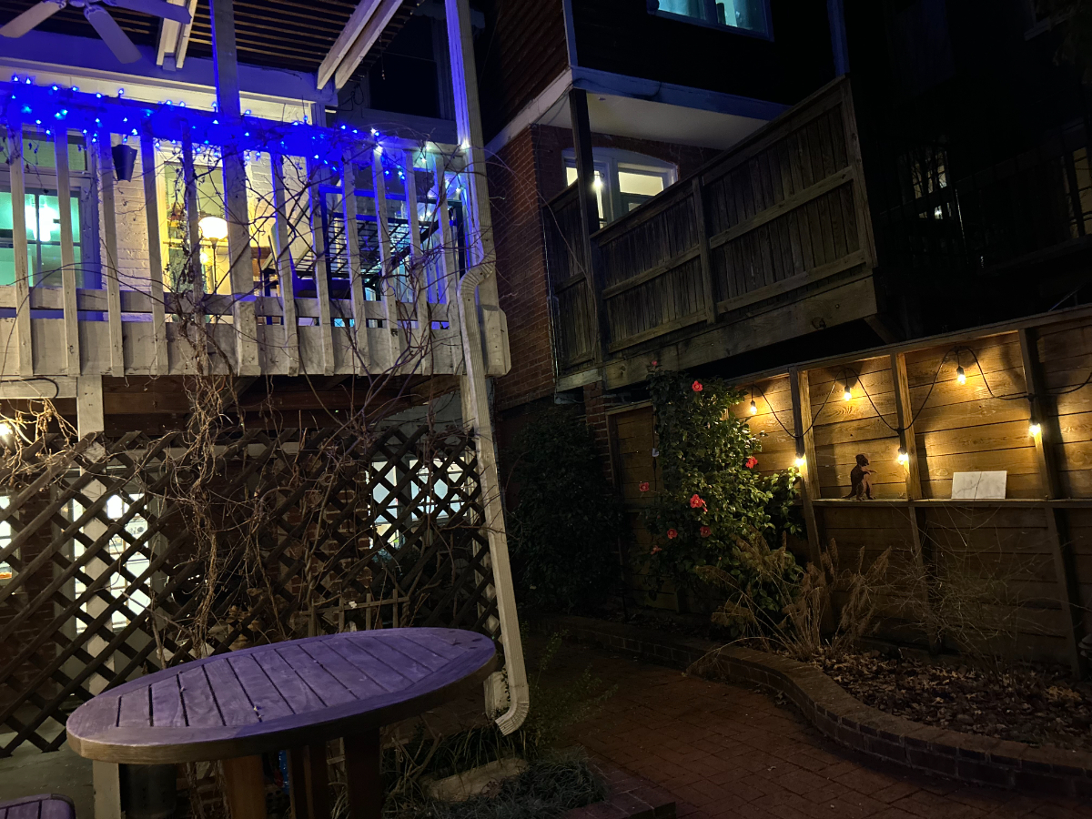 Large Basement Apartment in Historic Mt. Pleasant - Photo 5