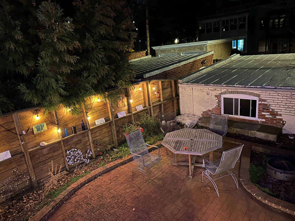Large Basement Apartment in Historic Mt. Pleasant - Photo 6