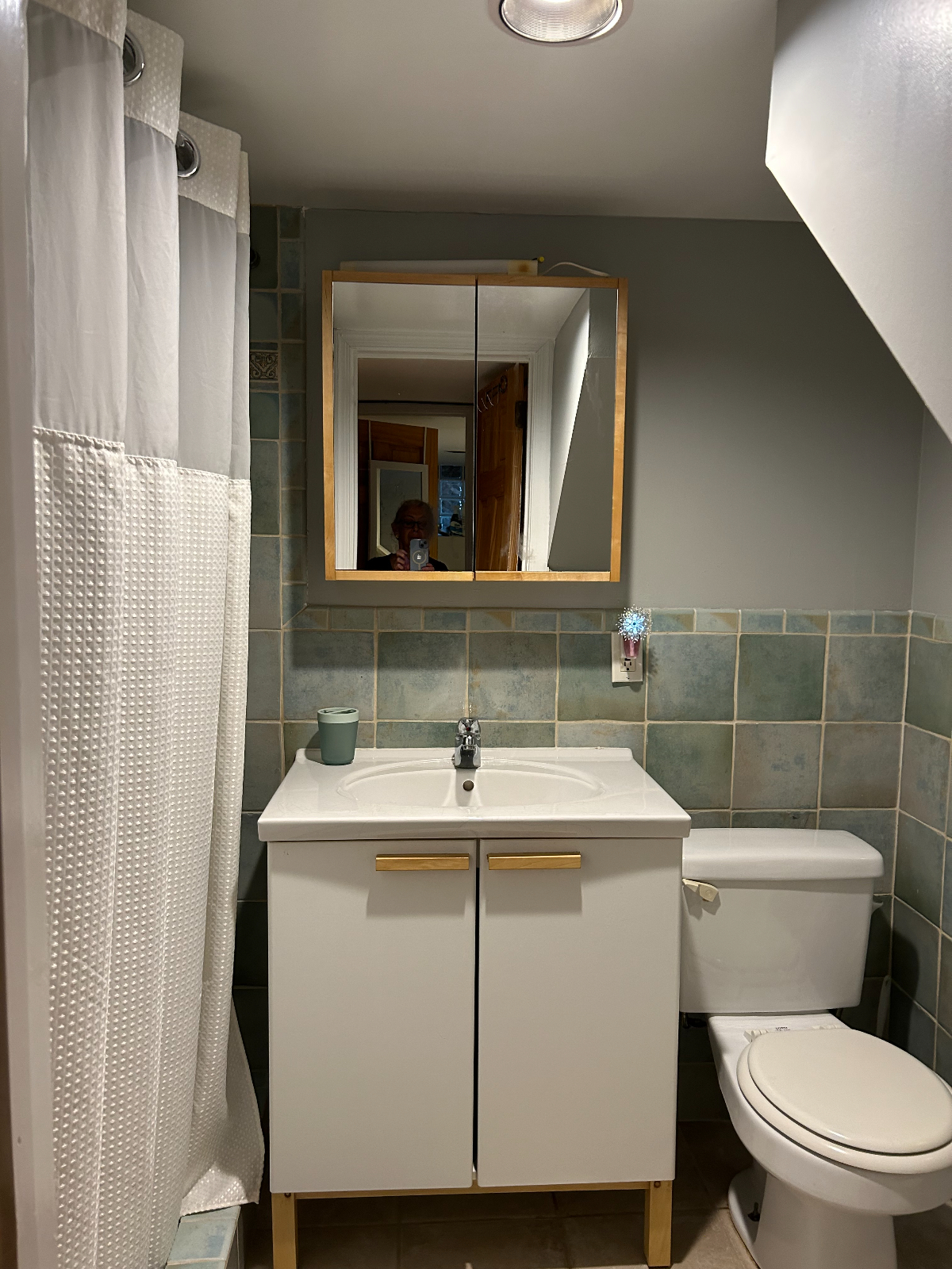 Large Basement Apartment in Historic Mt. Pleasant - Photo 7