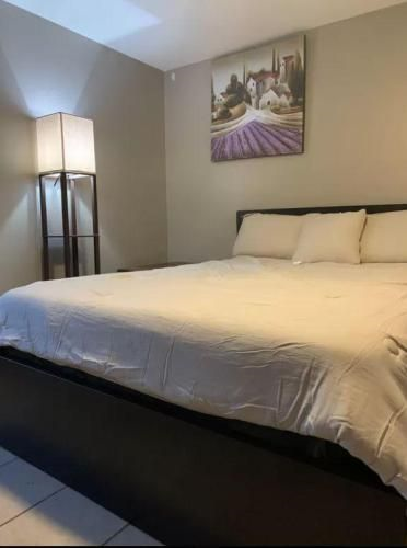 Beautiful Spacious one bedroom in Kenwood / Hyde Park