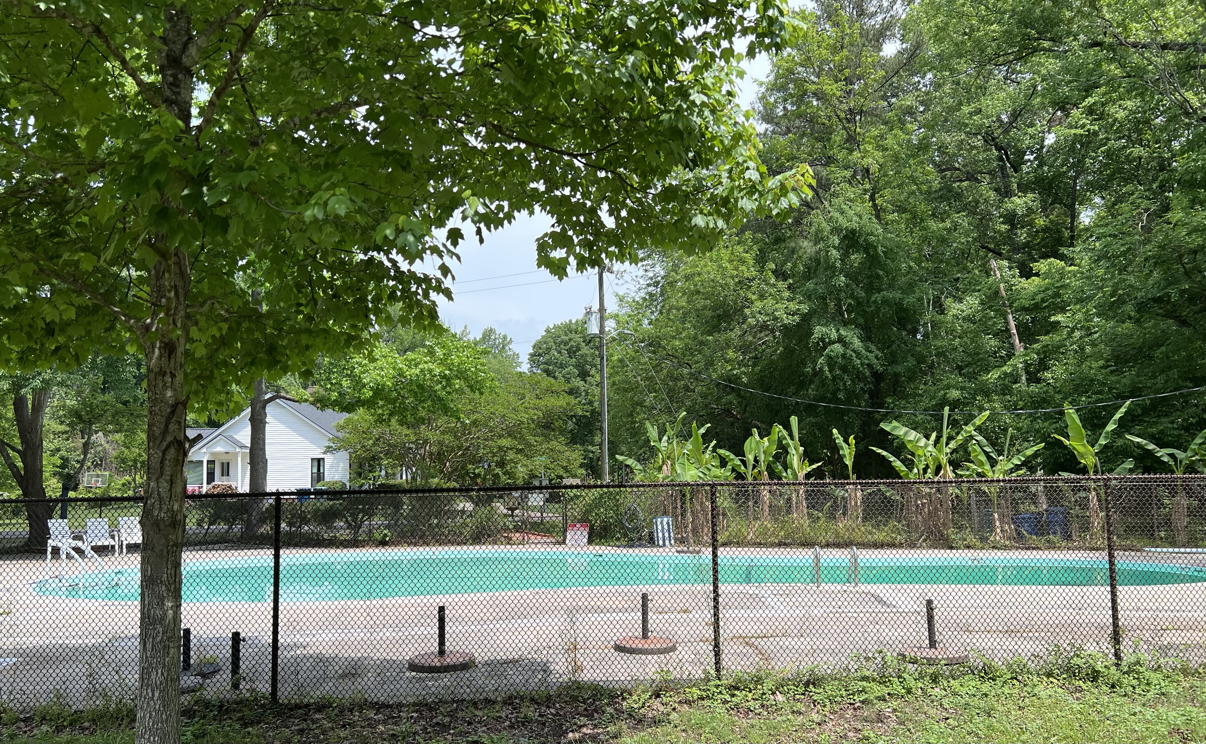 Master Suite with Private Bath- 5 mins to Duke/ Quiet Neighborhood - Photo 4