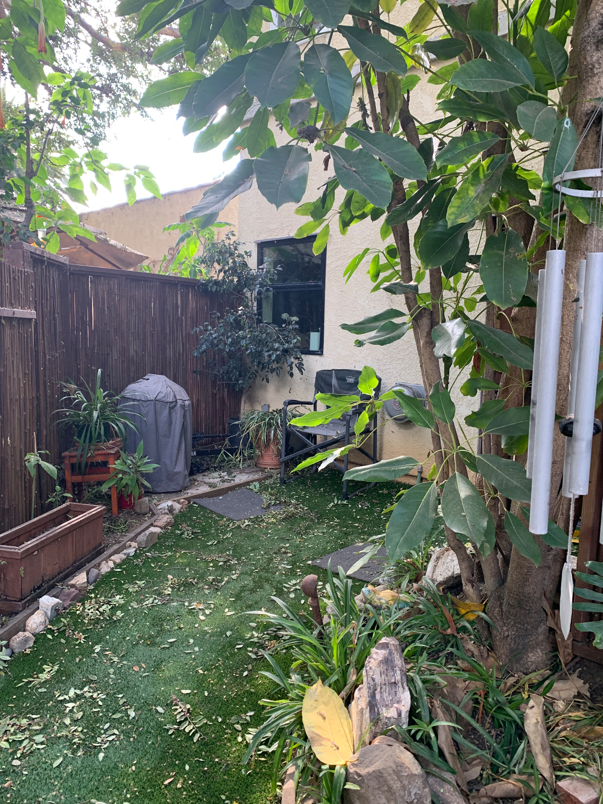 Comfortable ,separate bungalow in backyard - Photo 1