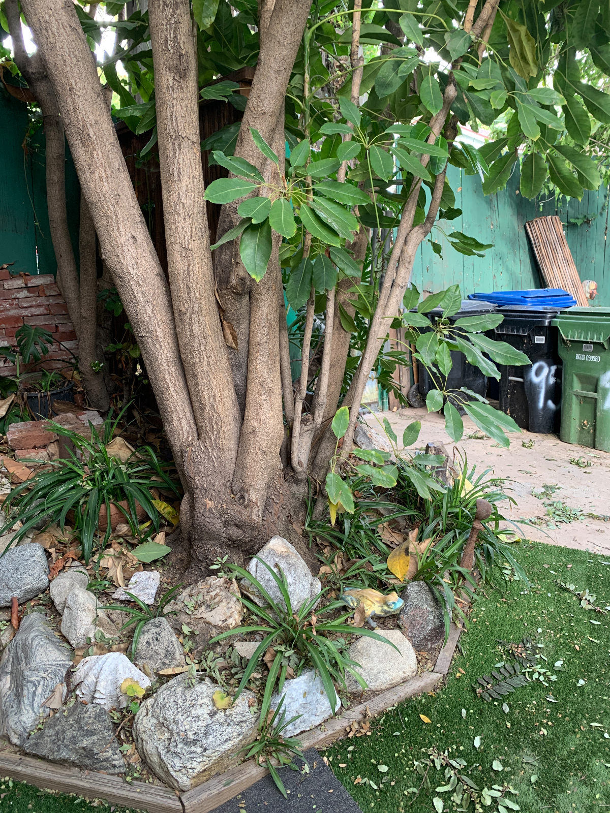 Comfortable ,separate bungalow in backyard - Photo 4