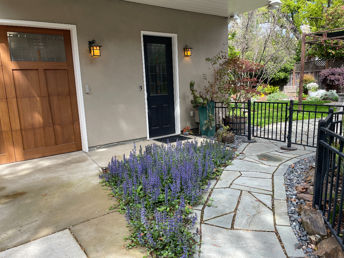 East Sacramento - Fabulous Forties - Photo 2