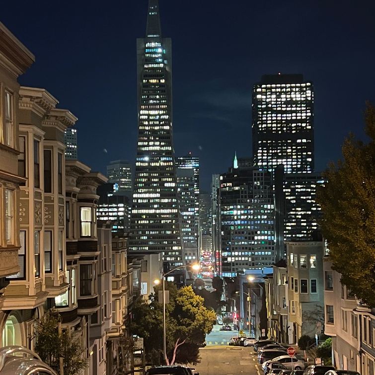 Luxury Fully Furnished 1 bedroom with office in North Beach - Photo 1