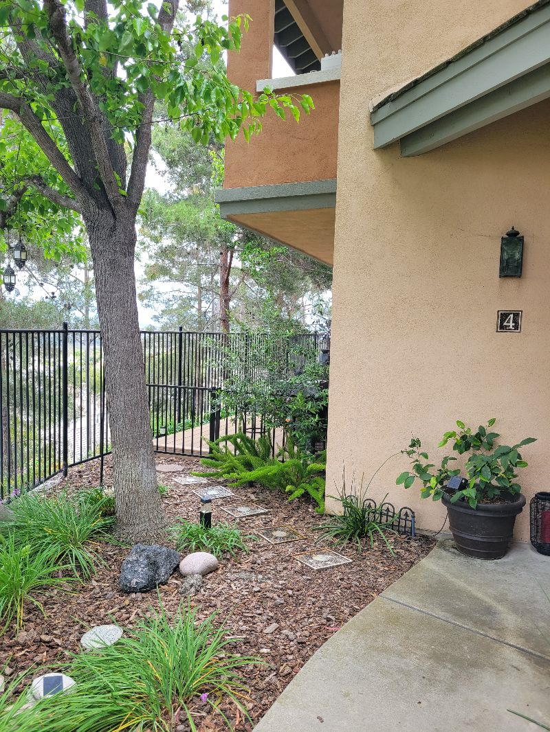Condo in quite clean community GREAT location - Photo 3